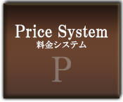 料金システム 日暮里ラブホテルB-Girl Bali